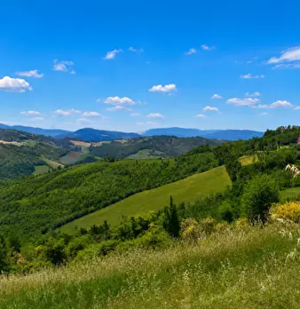 Foto annuncio 35