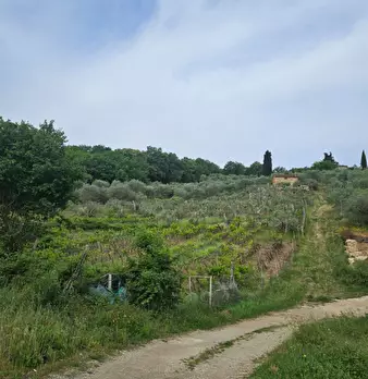 Foto annuncio 4