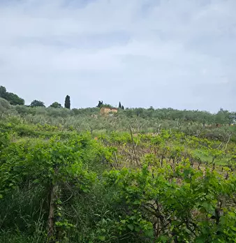 Foto annuncio 6