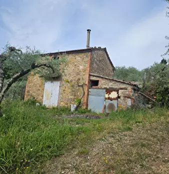 Foto annuncio 7