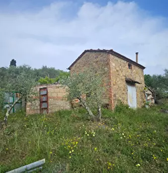 Foto annuncio 8