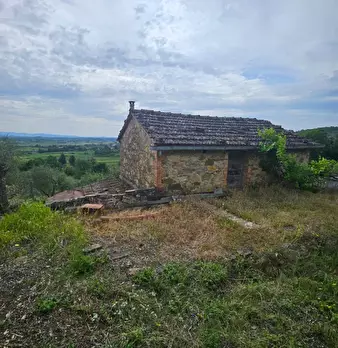Foto annuncio 10