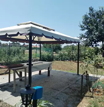 Foto annuncio 5