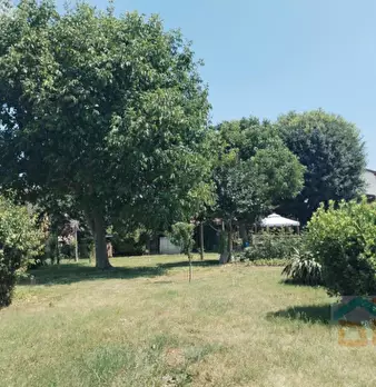 Foto annuncio 10