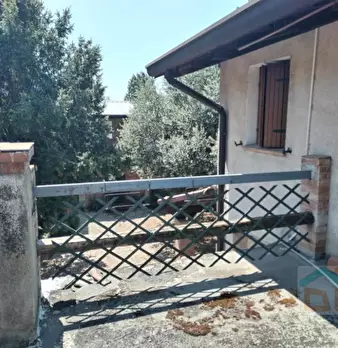 Foto annuncio 31