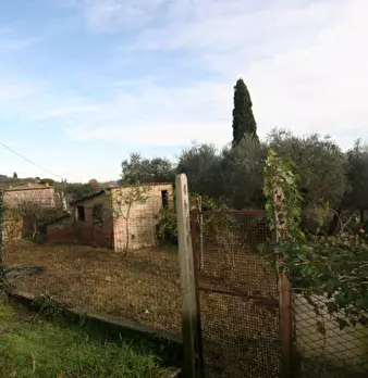 Foto annuncio 20