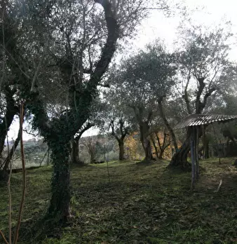 Foto annuncio 23