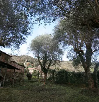Foto annuncio 24