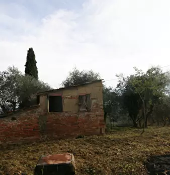 Foto annuncio 25