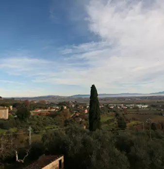 Foto annuncio 26