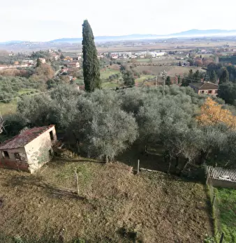 Foto annuncio 27