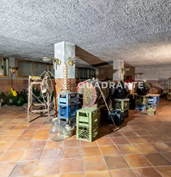 Foto annuncio 61
