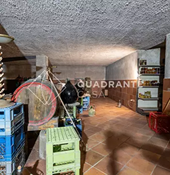Foto annuncio 62