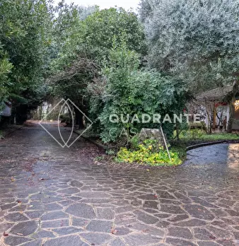 Foto annuncio 84