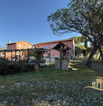 Foto annuncio 45