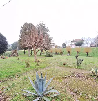 Foto annuncio 5