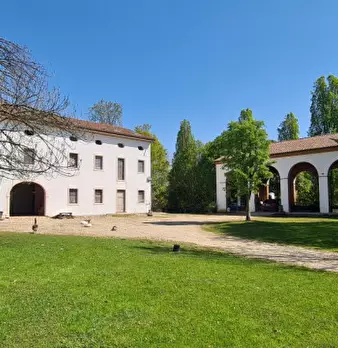 Foto annuncio 18