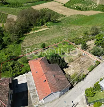 Foto annuncio 9