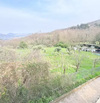 Foto annuncio 15