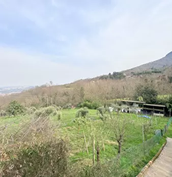 Foto annuncio 16