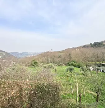 Foto annuncio 17
