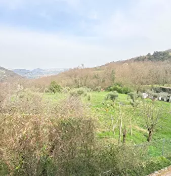 Foto annuncio 18