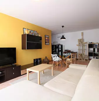 Foto annuncio 11