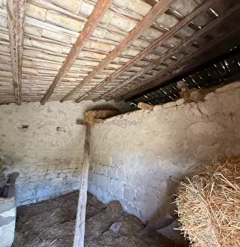 Foto annuncio 4