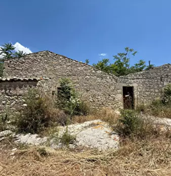 Foto annuncio 7