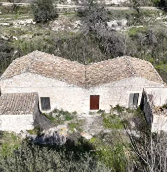 Foto annuncio 8