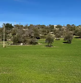 Foto annuncio 16