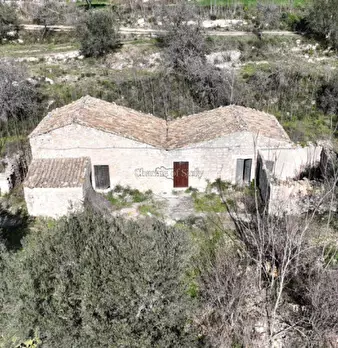 Foto annuncio 18