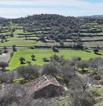 Foto annuncio 19