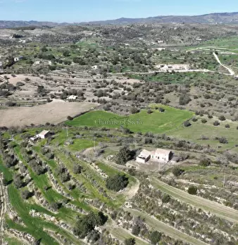 Foto annuncio 20
