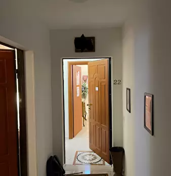 Foto annuncio 4