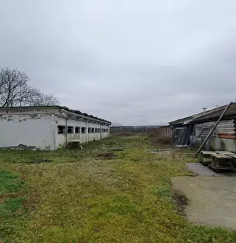 Foto annuncio 39