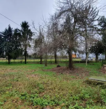 Foto annuncio 40