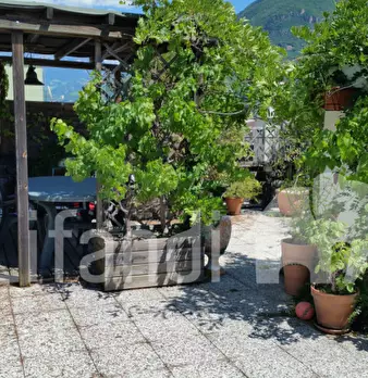 Foto annuncio 18