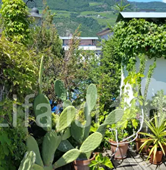 Foto annuncio 19