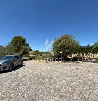 Foto annuncio 33