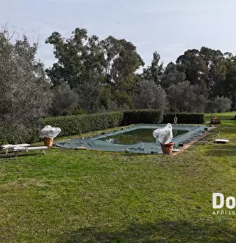 Foto annuncio 7