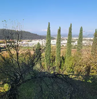 Foto annuncio 9