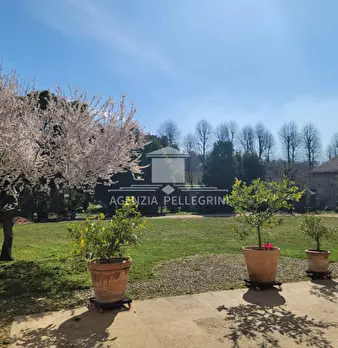 Foto annuncio 10