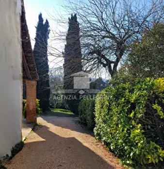 Foto annuncio 18