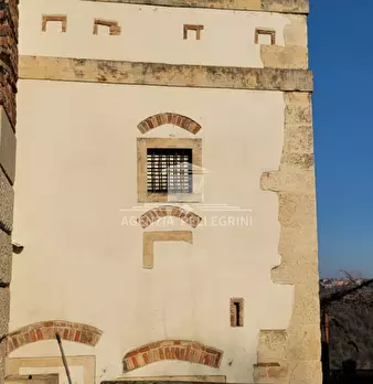 Foto annuncio 31