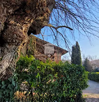 Foto annuncio 38