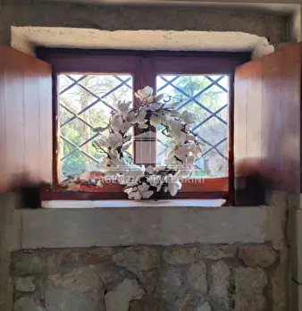 Foto annuncio 44