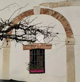Foto annuncio 45