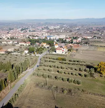 Foto annuncio 7