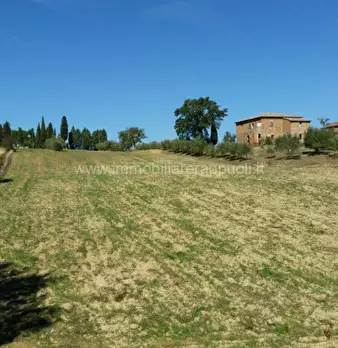 Foto annuncio 14